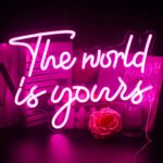 The World Is Yours Neon Sign – Pink LED Neon Light for Wall Decor, USB Powered Motivational Sign for Bedroom, Living Room, Wedding, Engagement Party, or Office Decoration